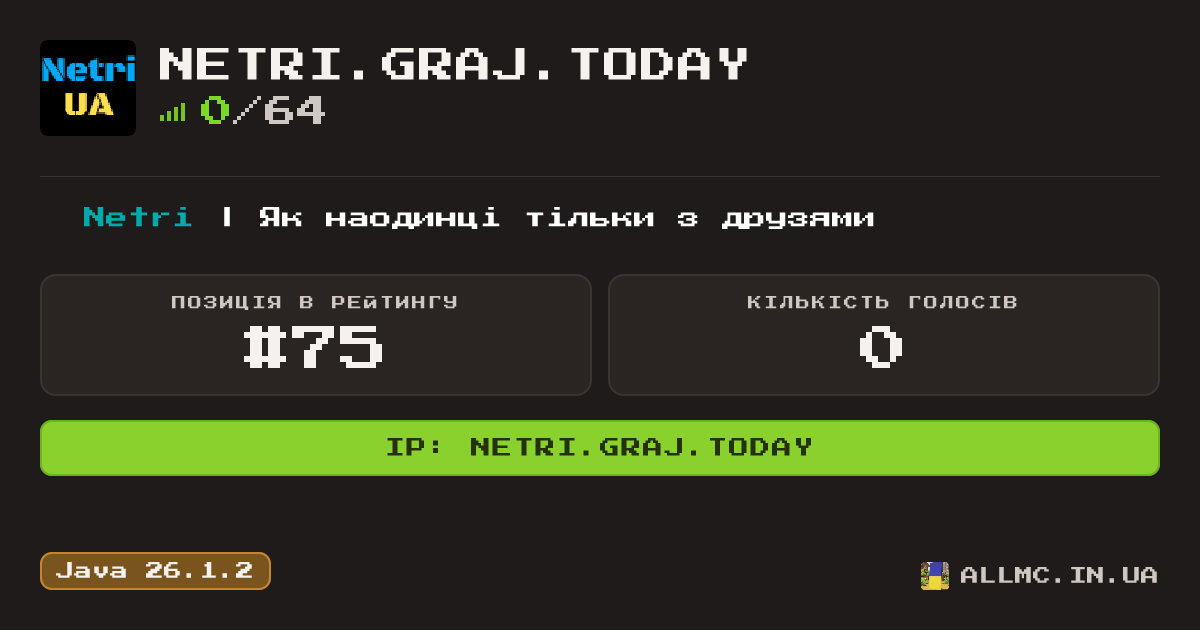 Віджет сервера netri.graj.today